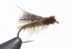 EMERGER Caddis - 1 dozen
